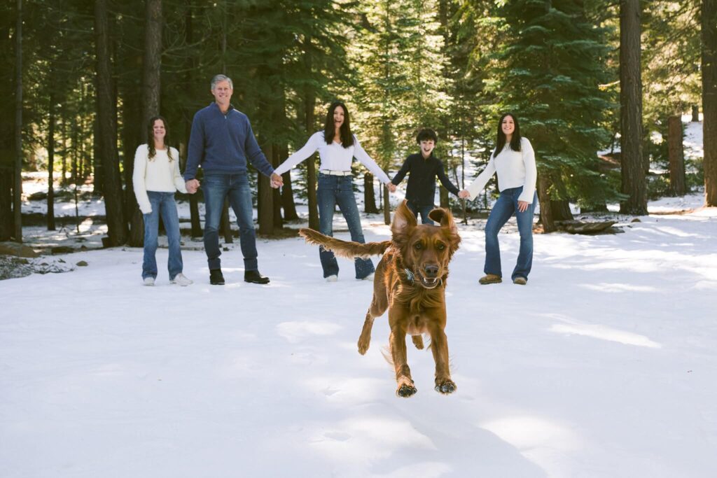 dog winter family session