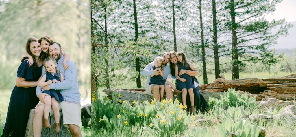 family sitting on a log in the woods in Truckee, california
