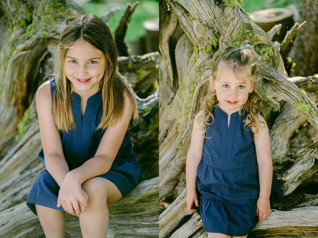 North lake Tahoe family photographer photographs two girls on a tree branch