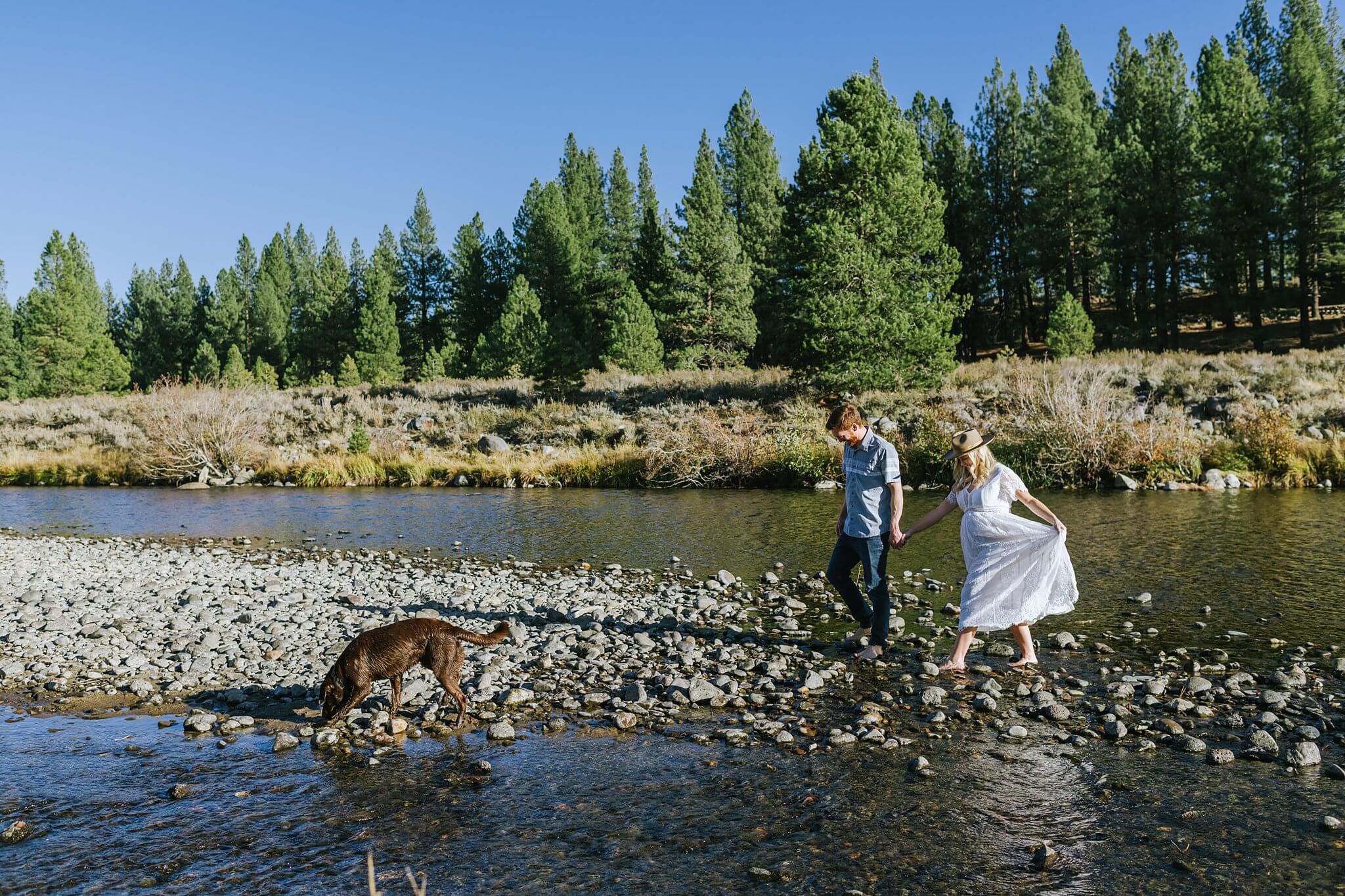 couple walking on truckee river with their brown dog