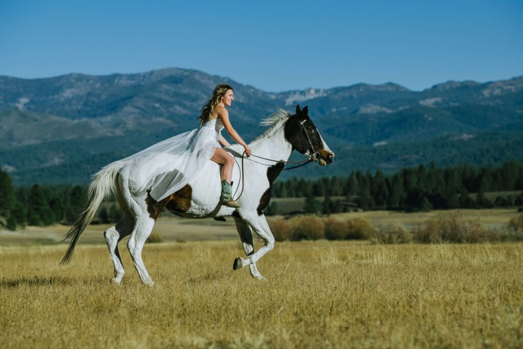 Truckee senior photos with her horse at an open field in a Truckee emadow captured by Tahoe senior photographer Annie X Photographie