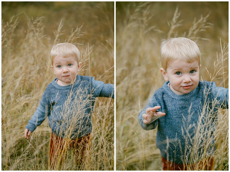 Sweet blond toddler boy amongst the tall blond gras of a fall Tahoe meadow photographed by Lake Tahoe family photographer candidly