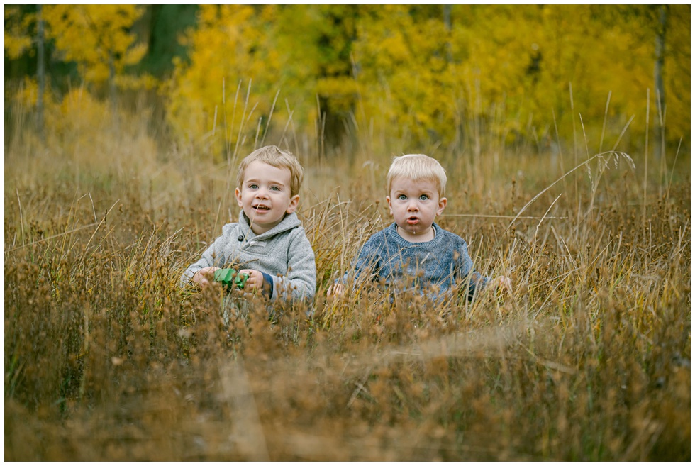 Toddler brothers sitting in tall blond grass in meadow of Palisades Tahoe captured candis from Annie X Photographie