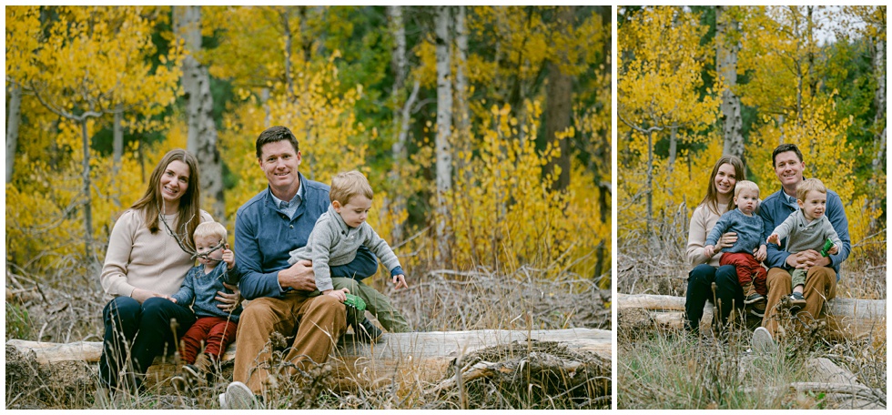 lake Tahoe fall family portrait session with toddlers in full yellow foliage family sitting on a log
