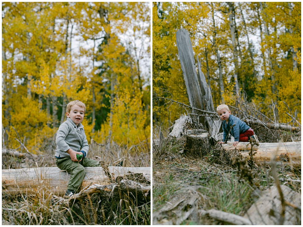 two vertical images of brotehr toddlers sitting on a log looking back at camera