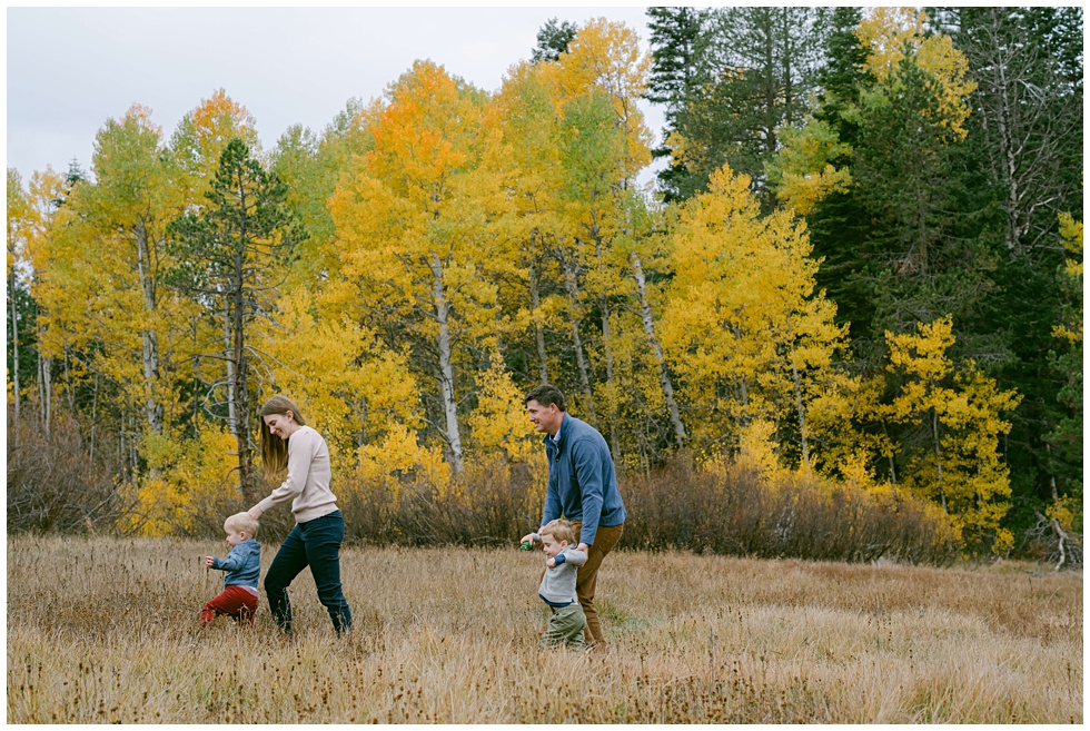 fall family session in Lake Tahoe mountains with toddlers in yellow meadow