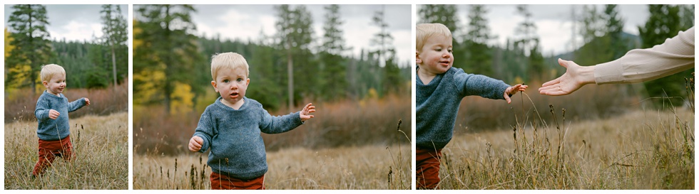 Toddler boy new at walking in meadow going towards his mam during a fall family portrait session
