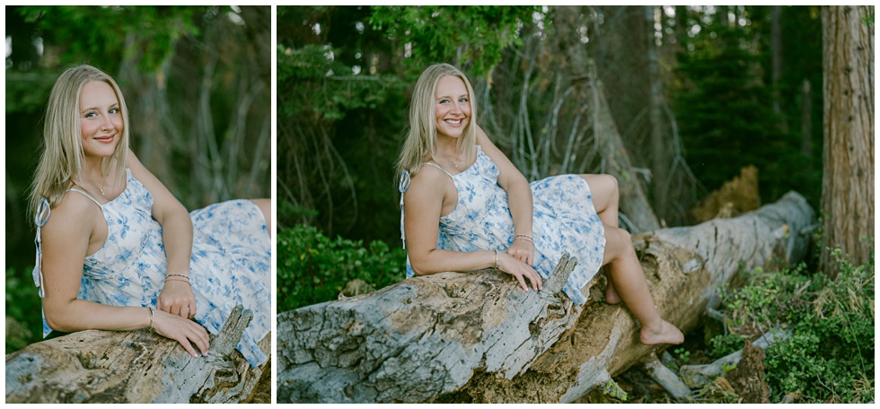 Natural senior portrait with stumps and pine trees stones and soft evening glow