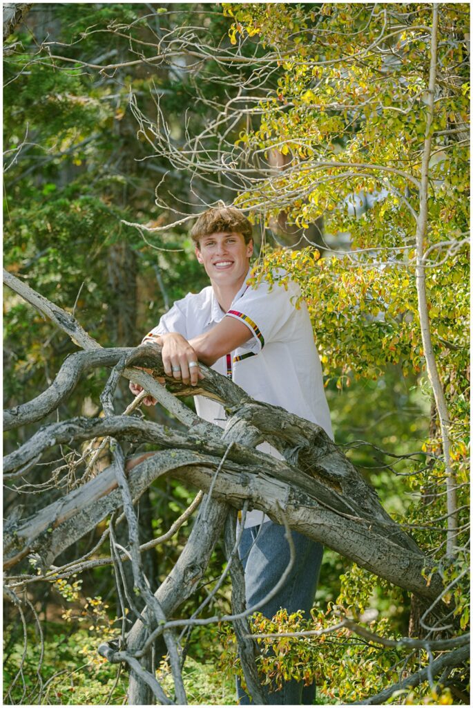 Portrait of senior standing in open light and foliage at Sugar Pine Point State Park