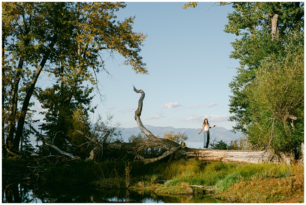 Lake Tahoe senior photos at Sugar Pine Point with fall foliage and natural light