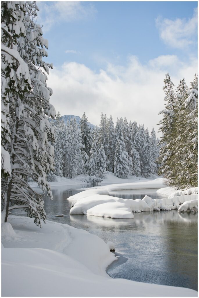 Donner Lake snow scenes
