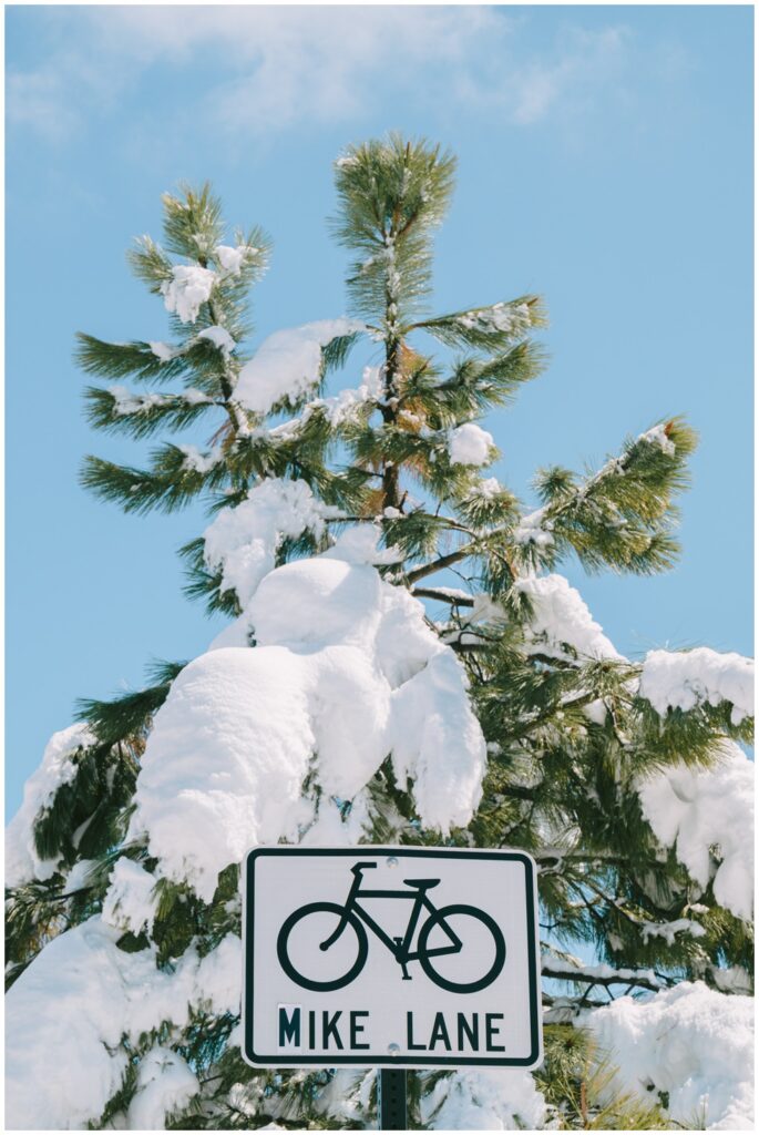 Snow covered bike lane sign and pine tree downtown Truckee April