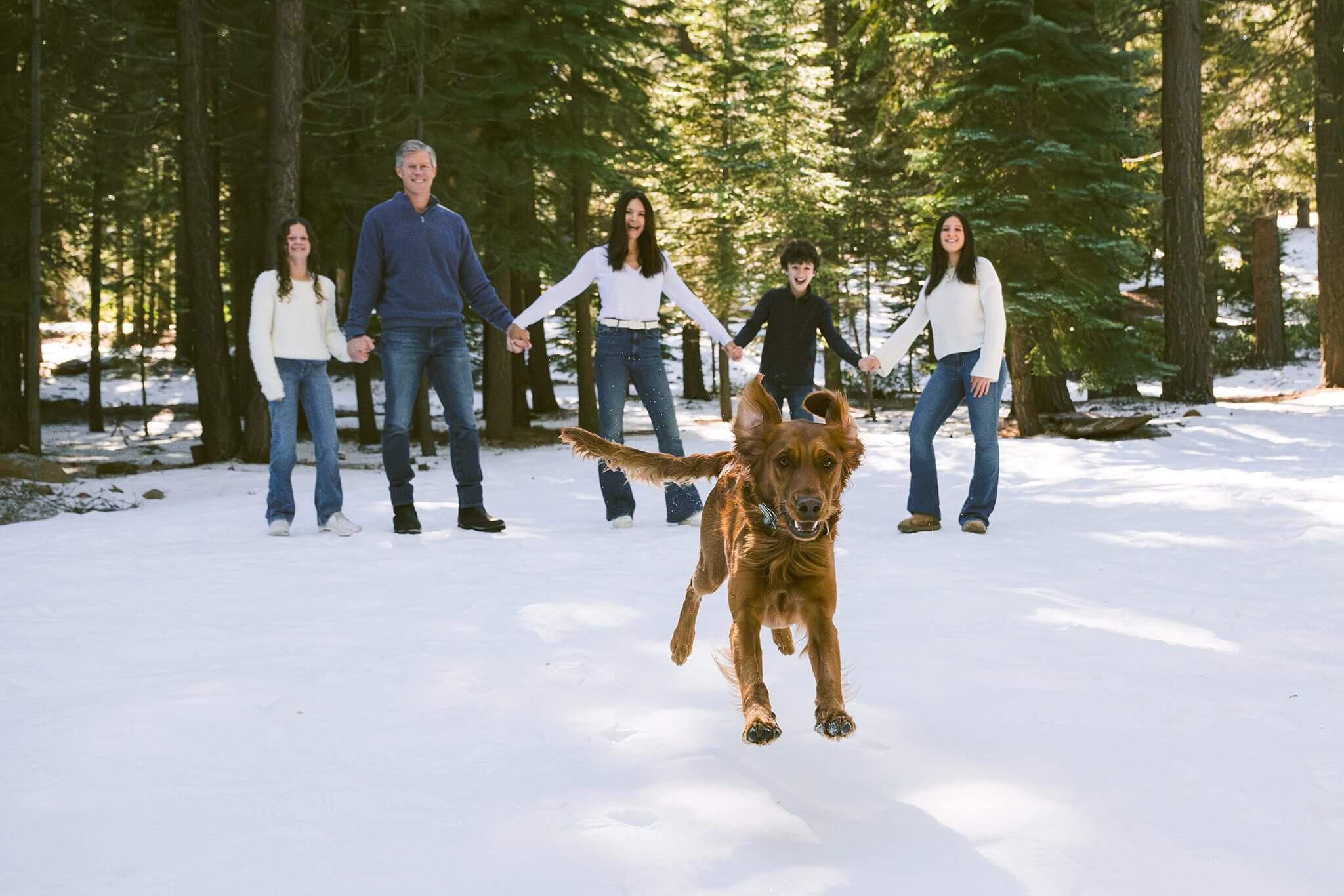 dog winter family session